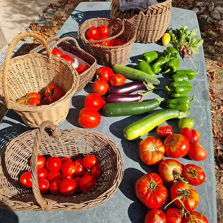 Diana Piscine Genneton