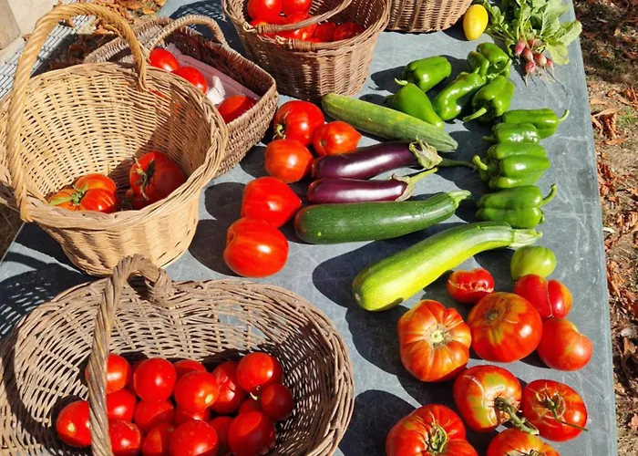 Diana Piscine Genneton